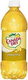 Canada Dry Pineapple Soda 20oz