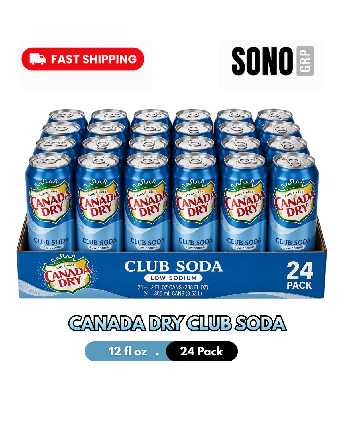Canada Dry Club Soda Can 12 fl oz